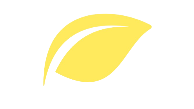 Element graphique feuille